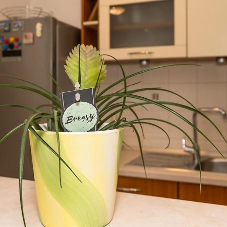 Luxury 1 Bedroom App Center&Balcony Free Parking Split Buitenkant foto